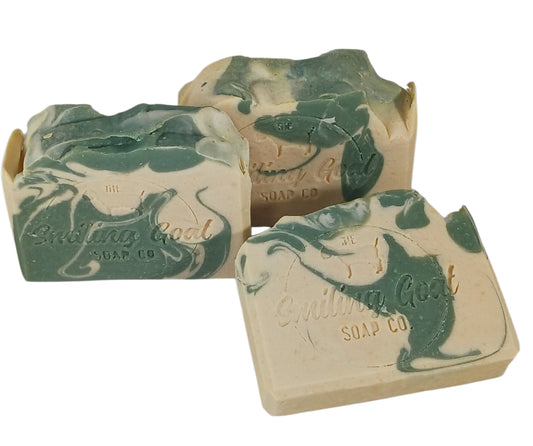 Tuesday Spotlight: Tea Tree and Eucalyptus