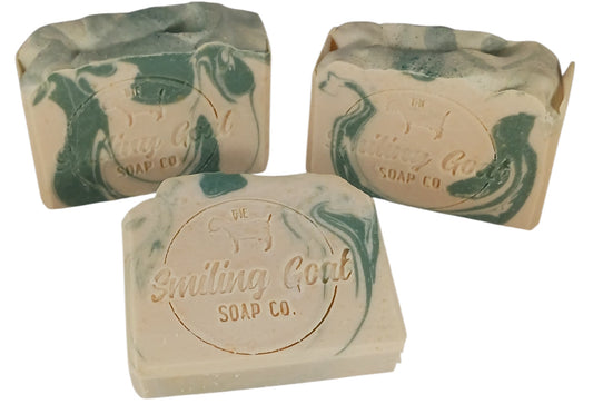 Tuesday Spotlight: Tea Tree and Eucalyptus