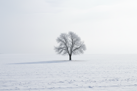Wintery Weekend